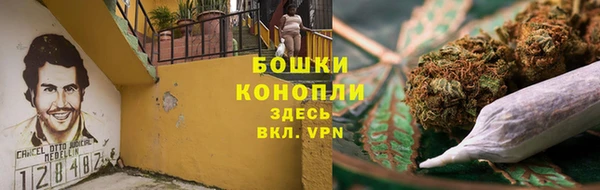 ПСИЛОЦИБИНОВЫЕ ГРИБЫ Вязники