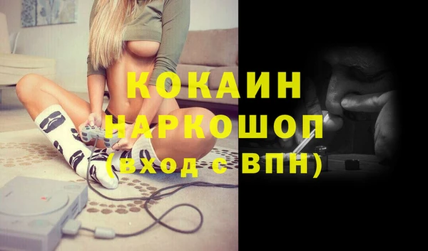 ПСИЛОЦИБИНОВЫЕ ГРИБЫ Вязники