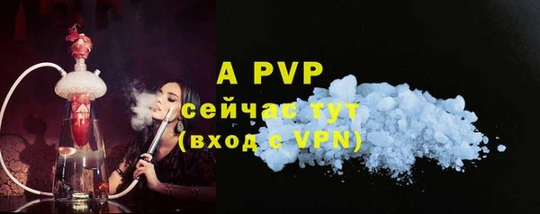 гидра Горнозаводск