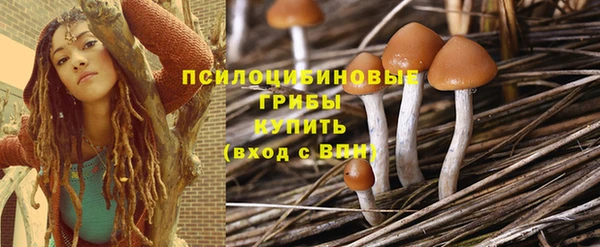 прущие крисы Горно-Алтайск