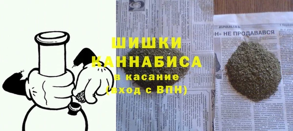 ПСИЛОЦИБИНОВЫЕ ГРИБЫ Вязники