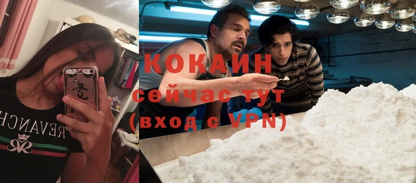 гидра Горнозаводск