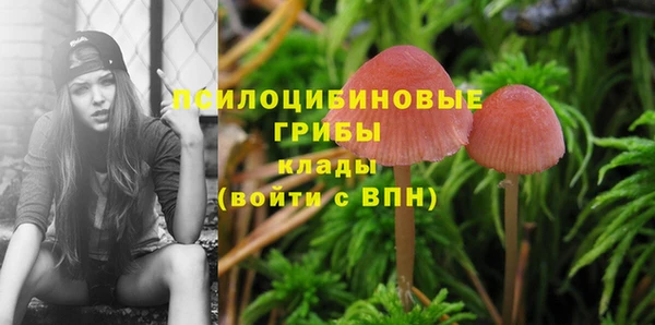 гидра Горнозаводск